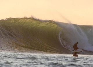  surfing and waves 